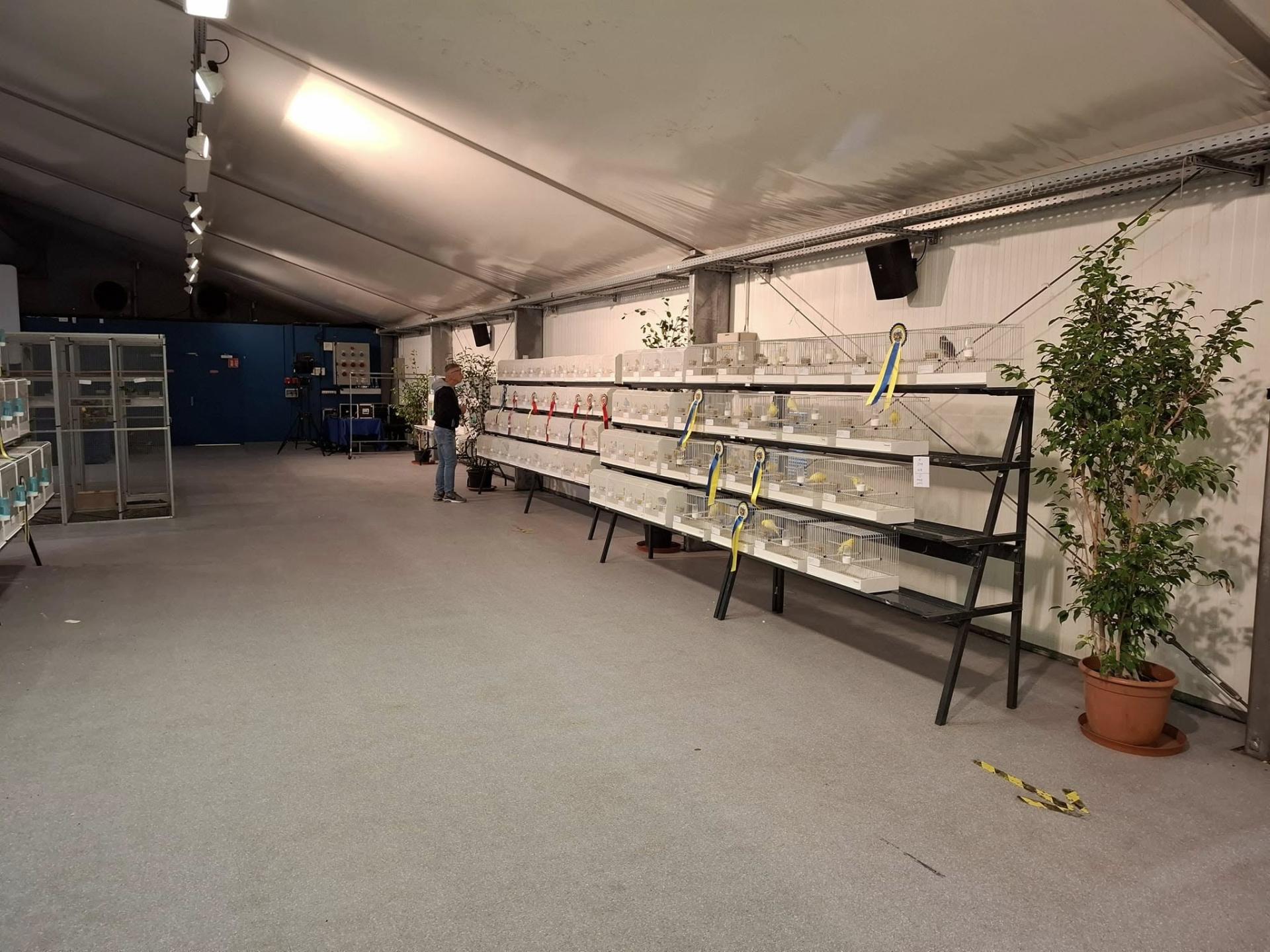 463314072 10231511573326582 5461275980788083122 n