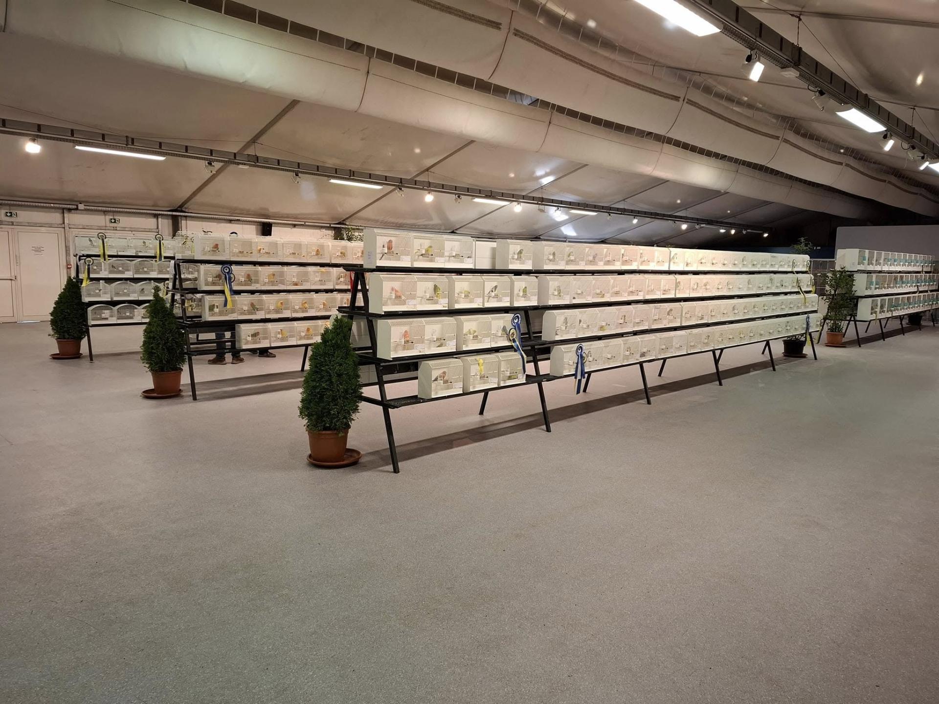 463753215 10231511556726167 237441856962094180 n