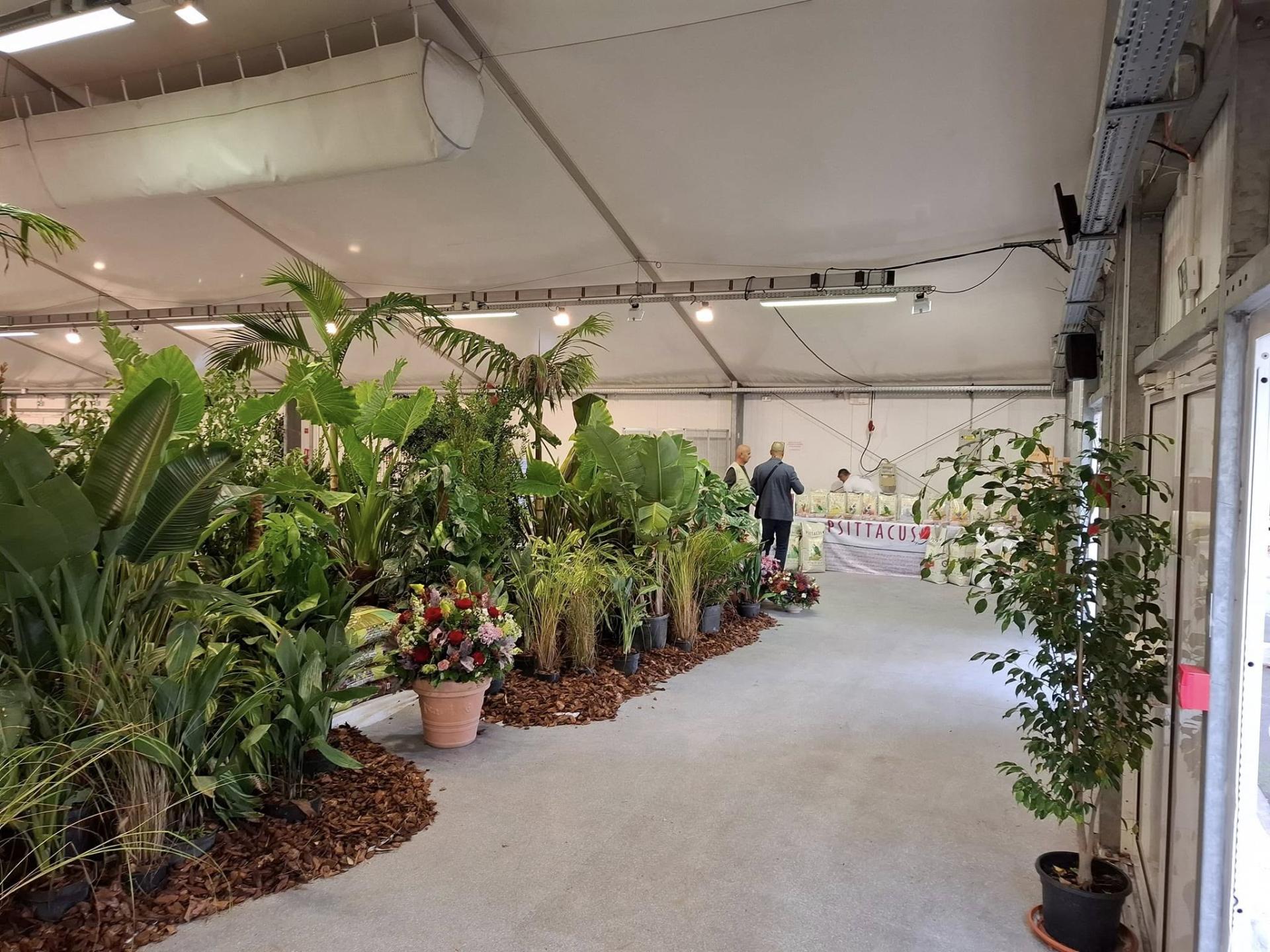 463792825 10231511550846020 6110740440698462820 n