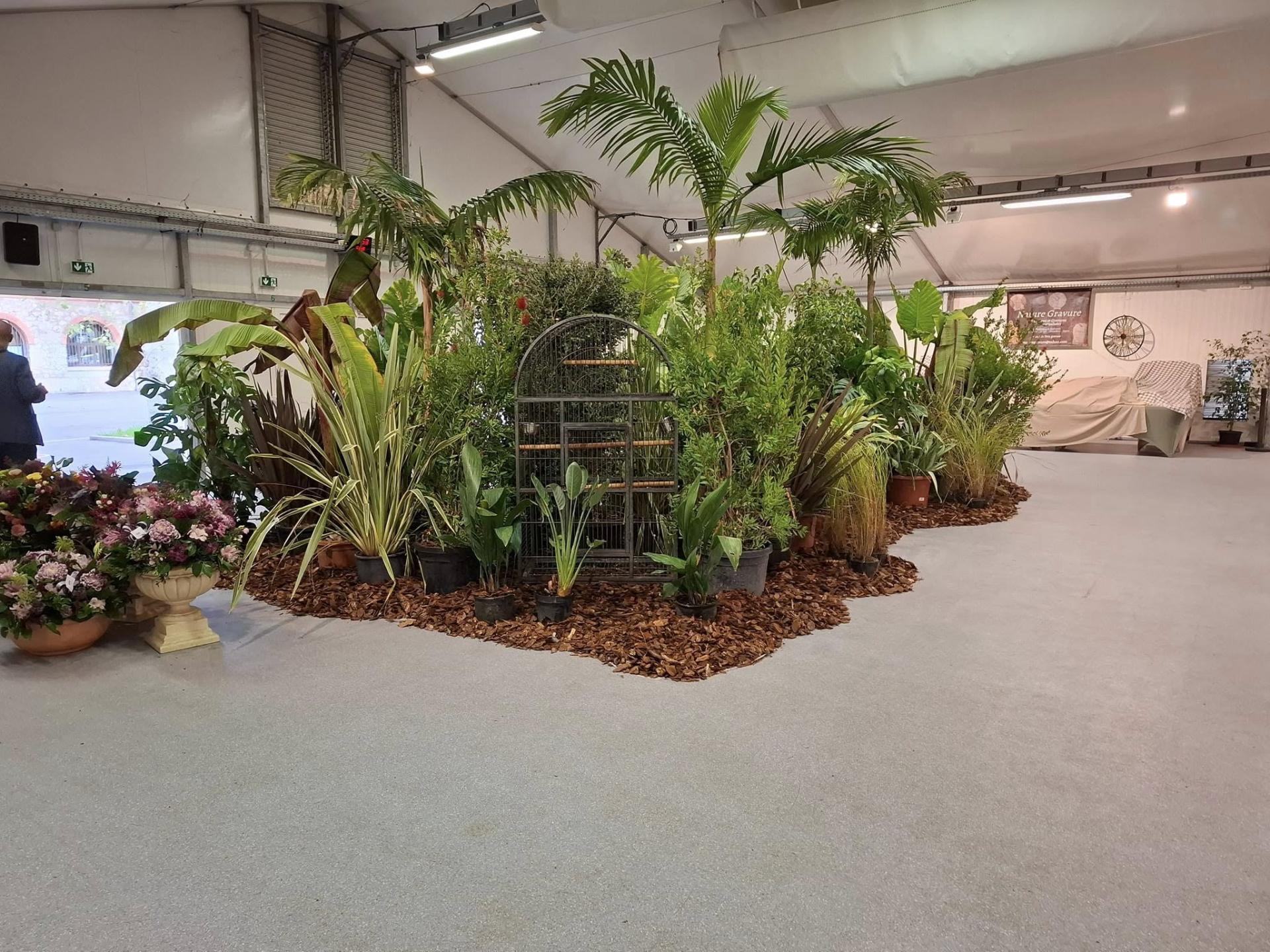 463817270 10231511546405909 1931876182411767118 n