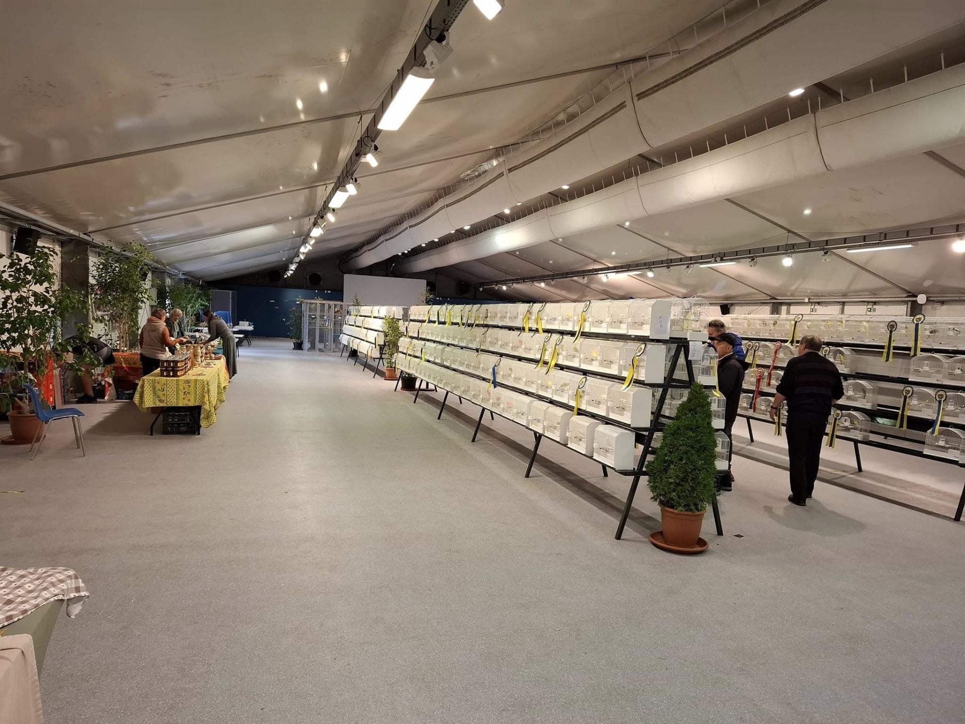 463817551 10231511562766318 1959763606541530553 n