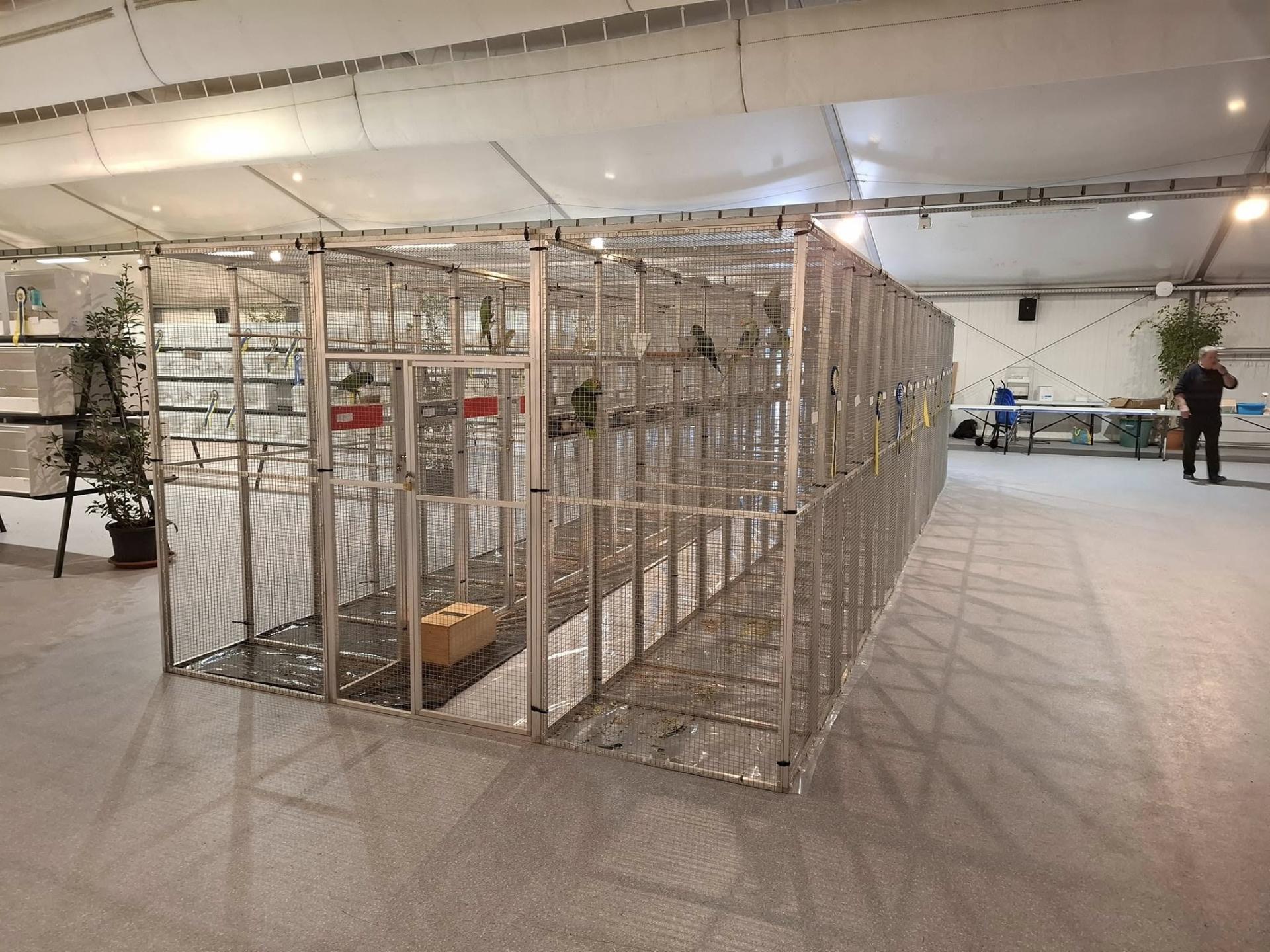 463869778 10231511571006524 666900985721116056 n