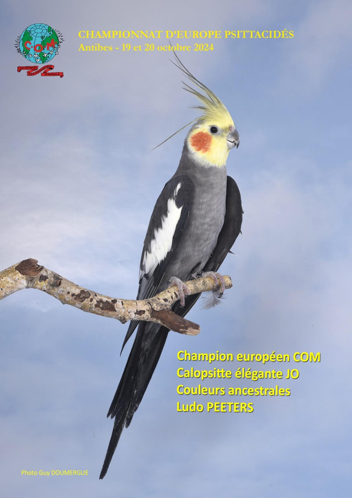 Img 20241029 wa0010 1